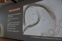 
DSC00050